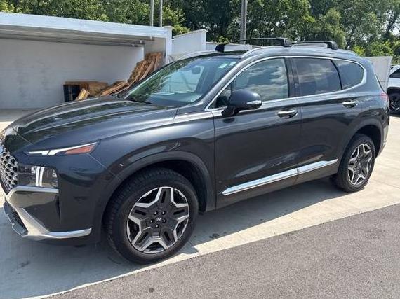 HYUNDAI SANTA FE 2023 5NMS4DAL8PH486628 image